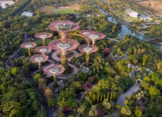 This Tiny Southeast Asian Nation Is Crafting a Society Where People Live Past 100